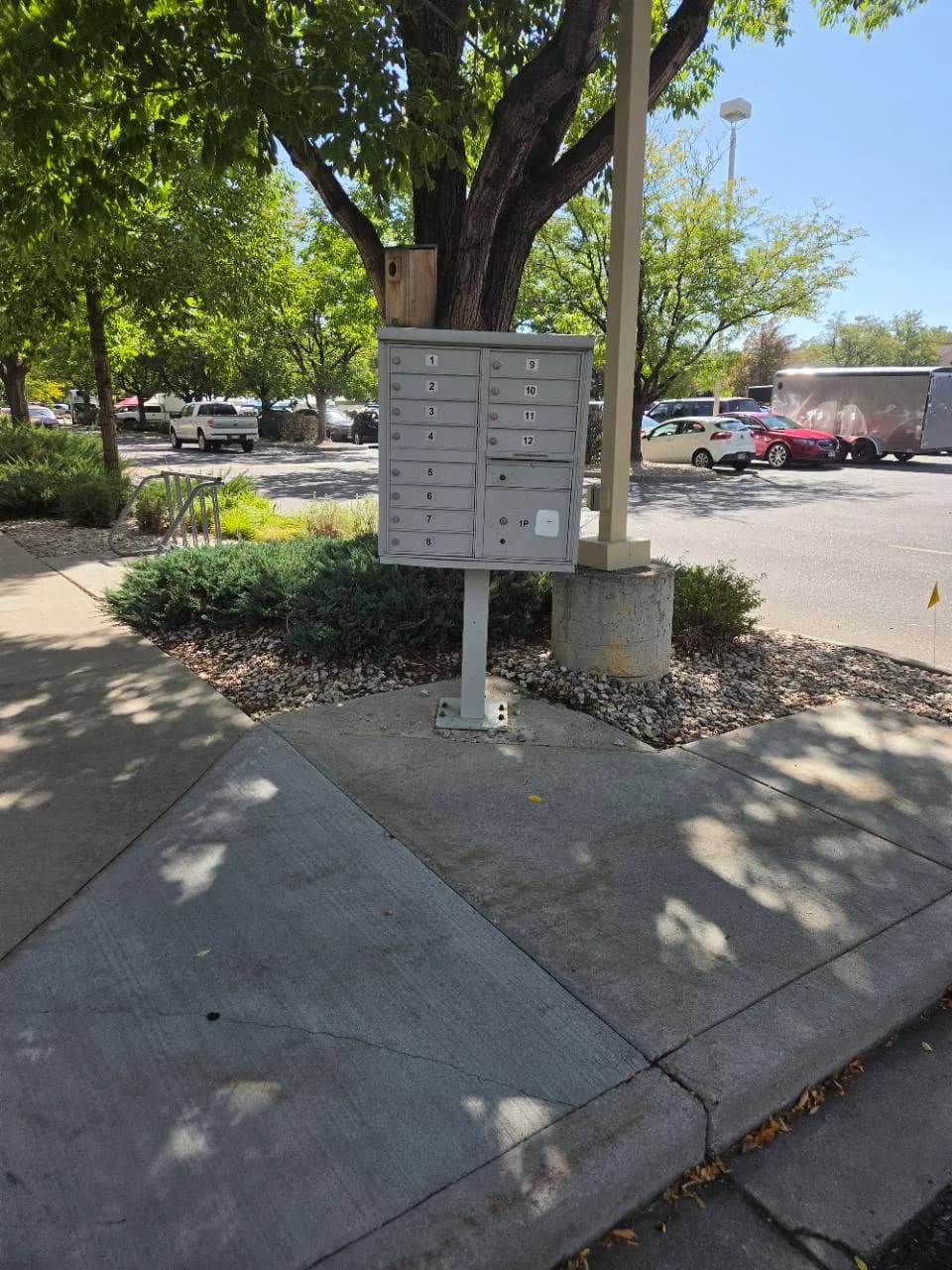 Outdoor cluster mailboxes with numbered compartments beneath a tree
